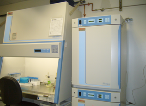 State of the art-cell culture facility.