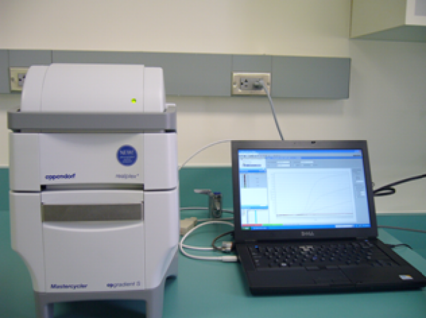 Real time PCR-system