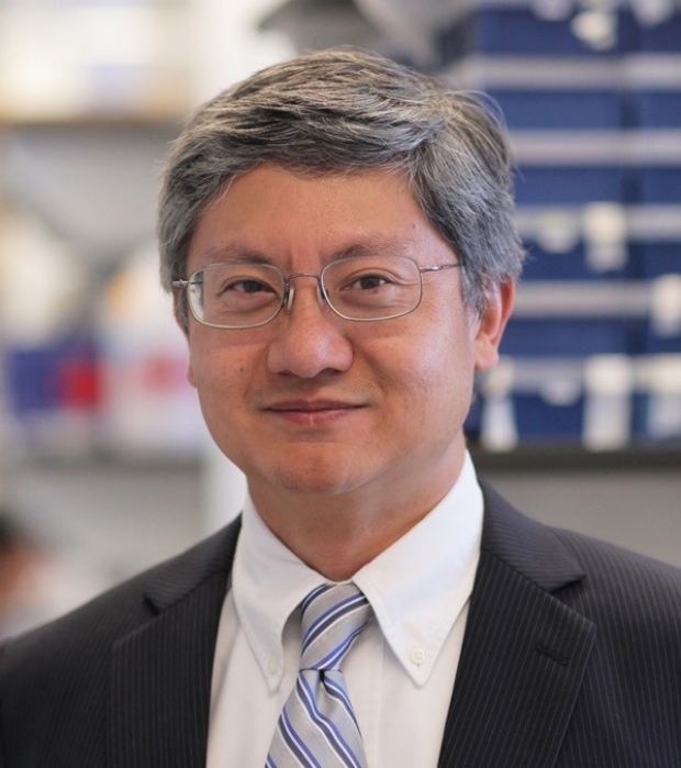 Photo of Michael M Shen, PhD